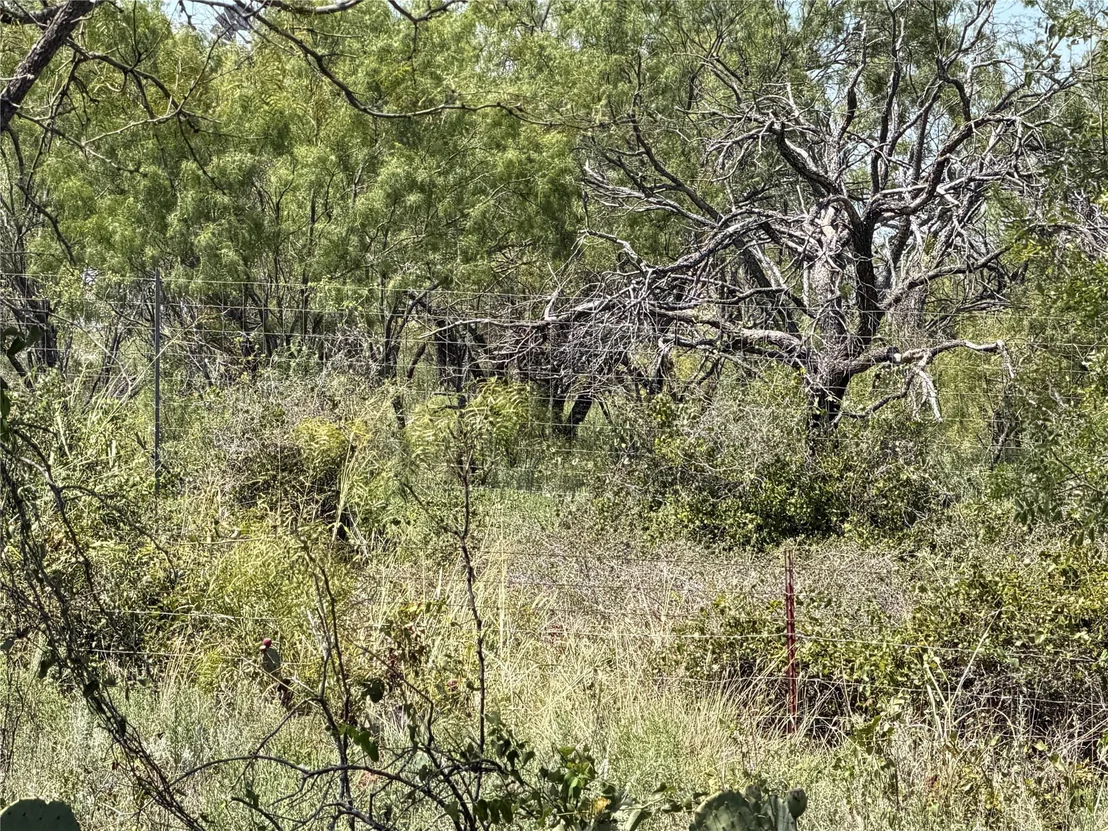 Photo of 501 County Road 376