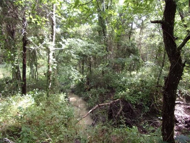 Photo of 4188 Willow Oak Bend