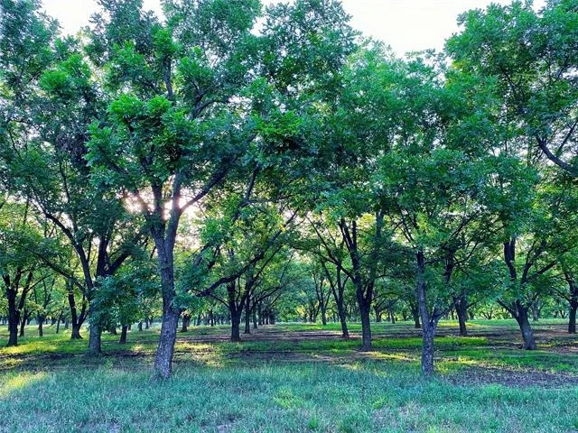 Photo of 751 County Road 424