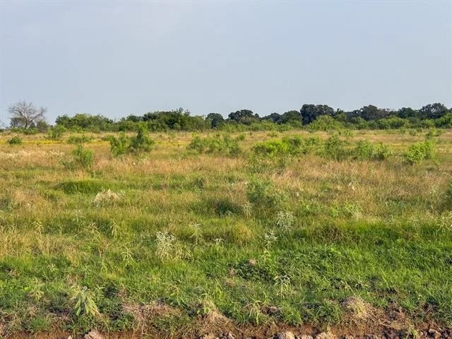 Photo of LOT 13 ELM BRANCH