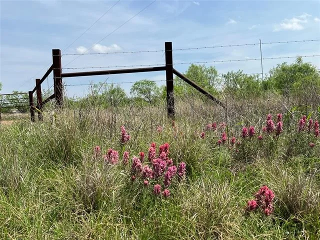 Photo of 7565 Hwy 377