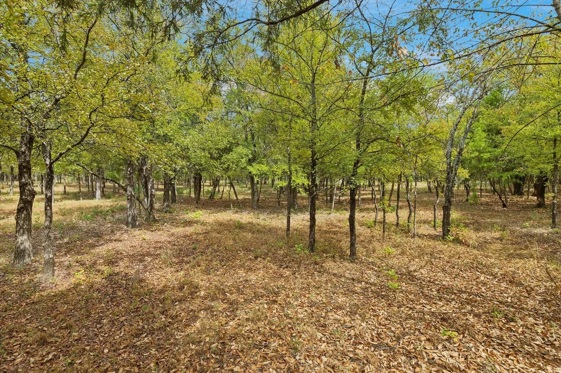 Photo of 8949 Indian Knoll Trail