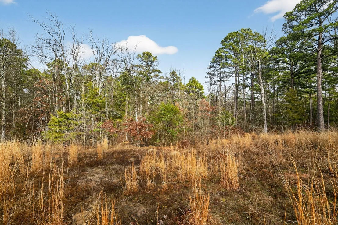 Photo of 868 County Road 2920