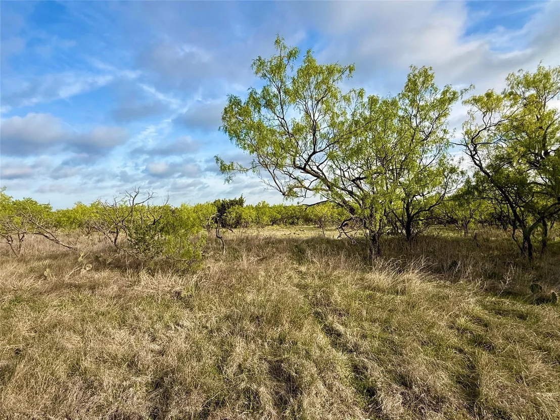 Photo of TBD CR 253