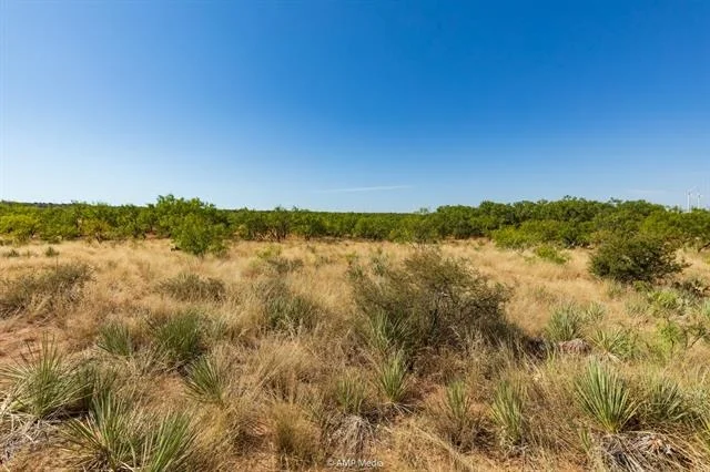 Photo of 1363 County Road 441