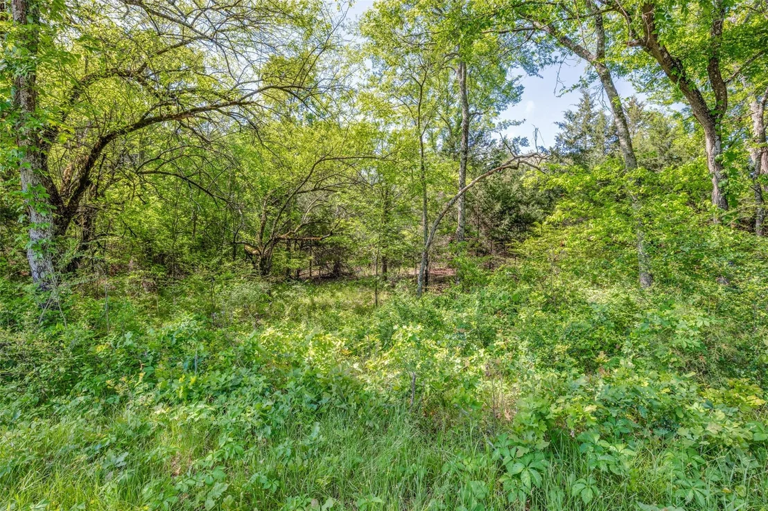 Photo of 1203 County Road 4132