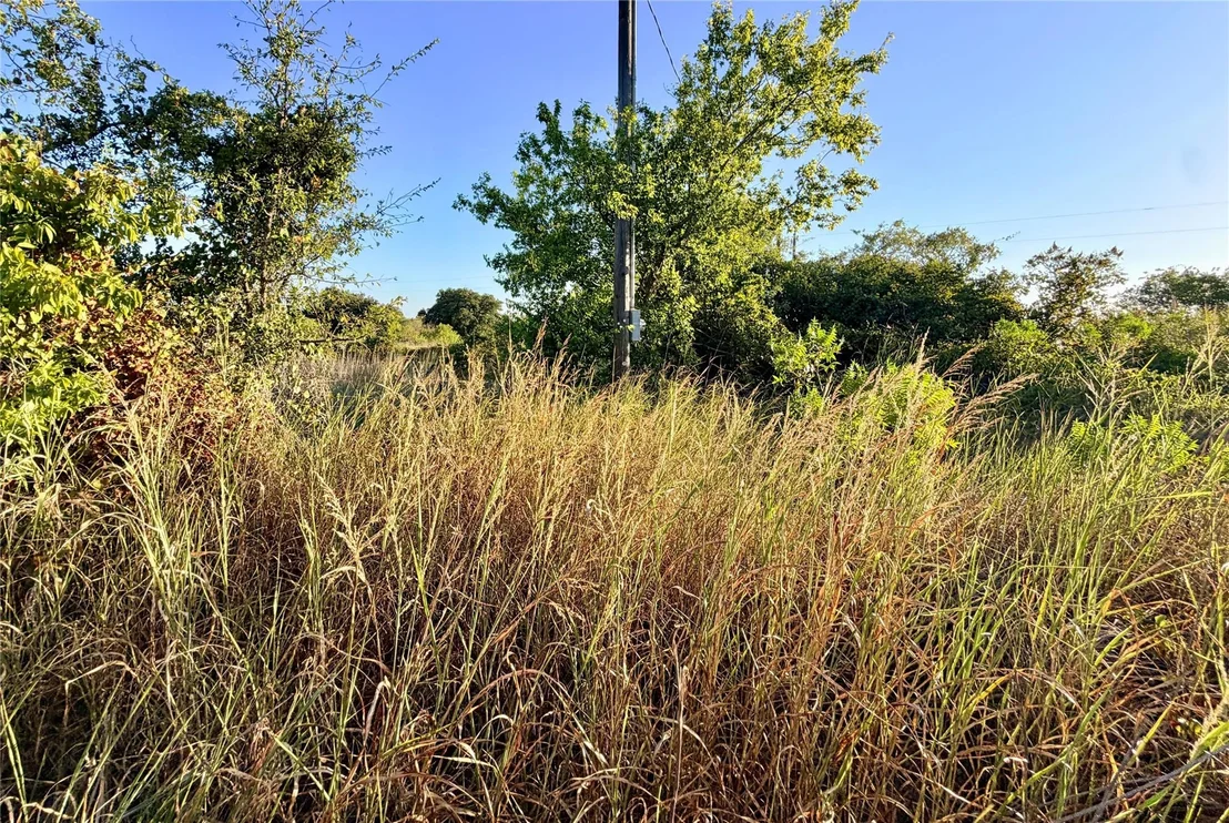 Photo of 37 Pr 224