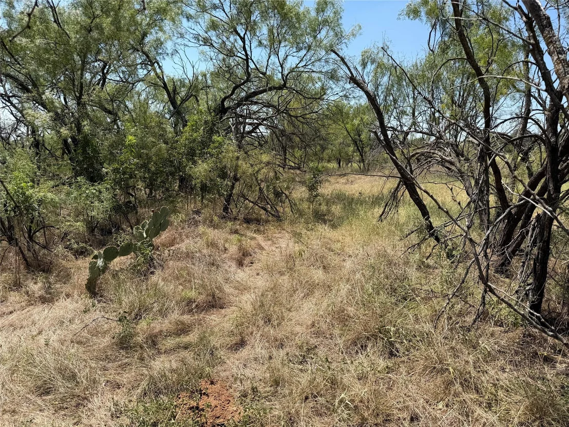 Photo of 501 County Road 376