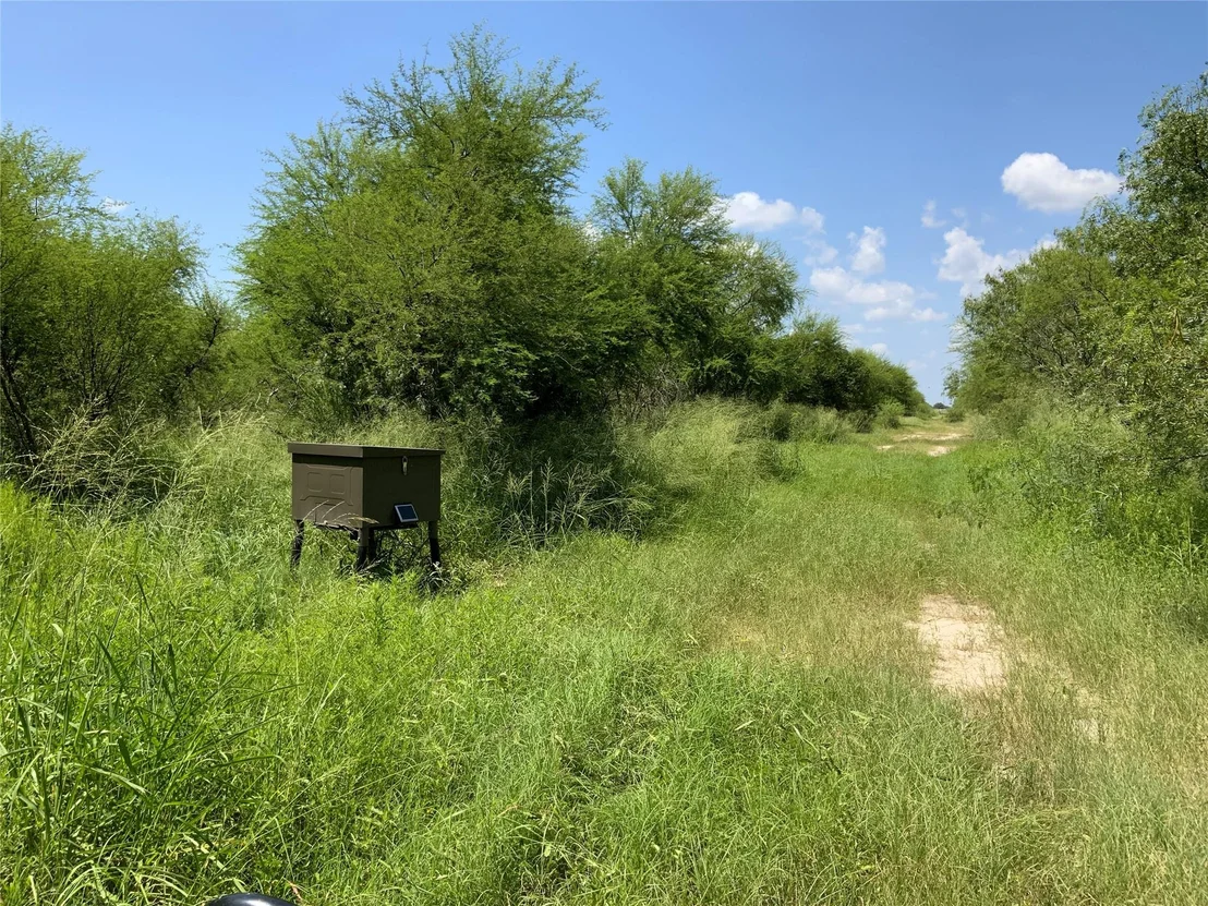 Photo of 14135 County Road 1144