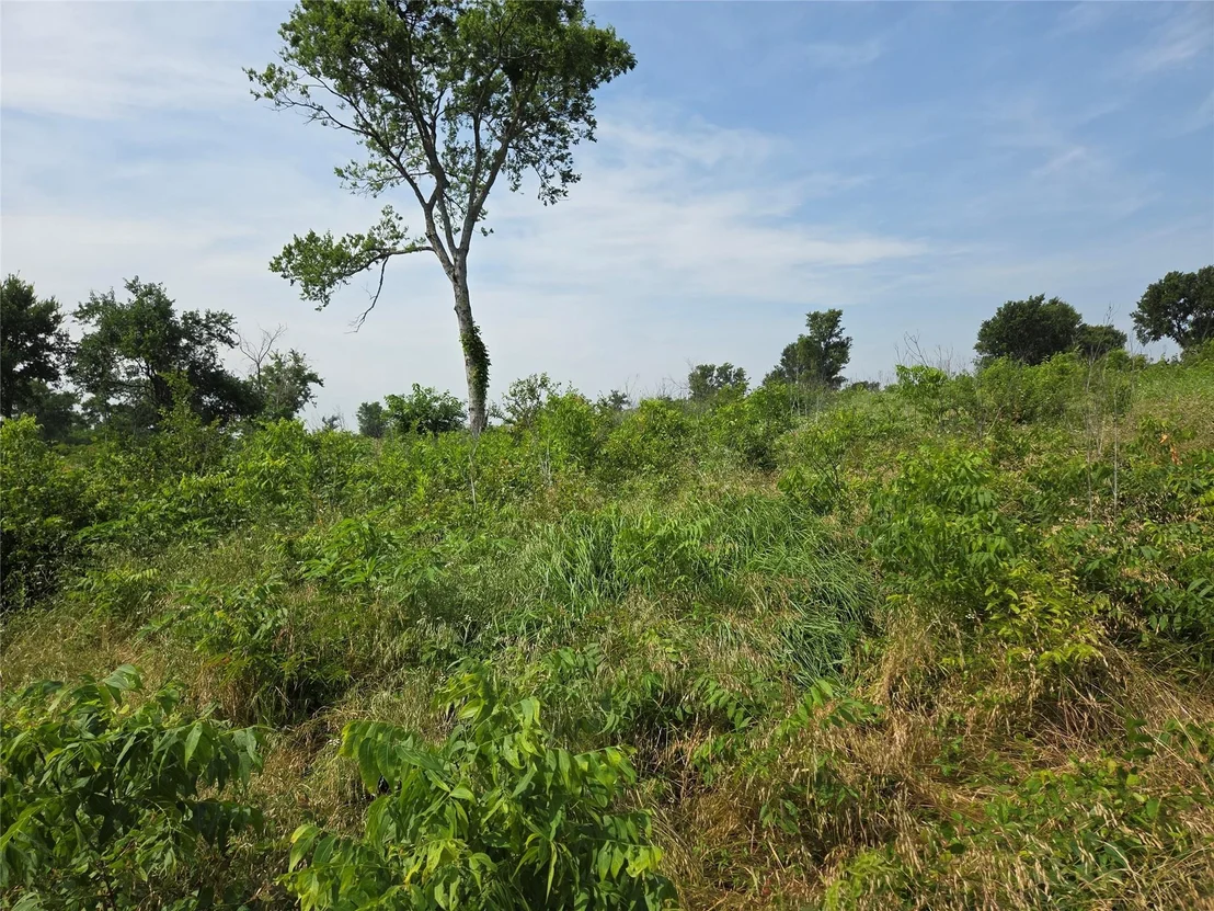 Photo of Lot 80 & BL # 16 ShoreSide Drive