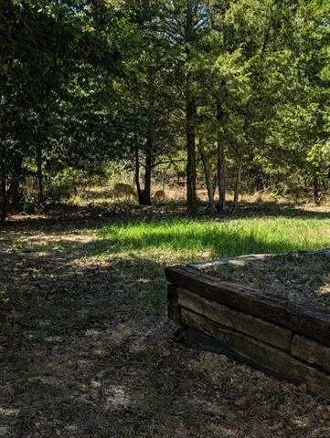 Photo of 469 Holly Glen
