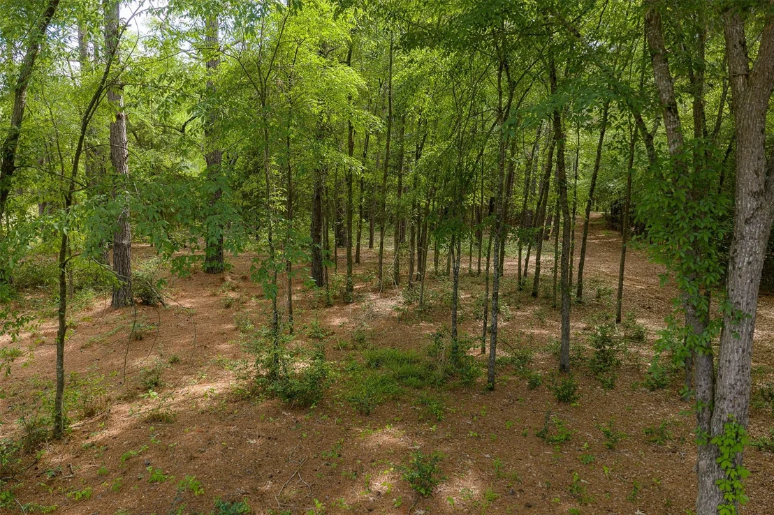 Photo of 2029 W State Highway 294