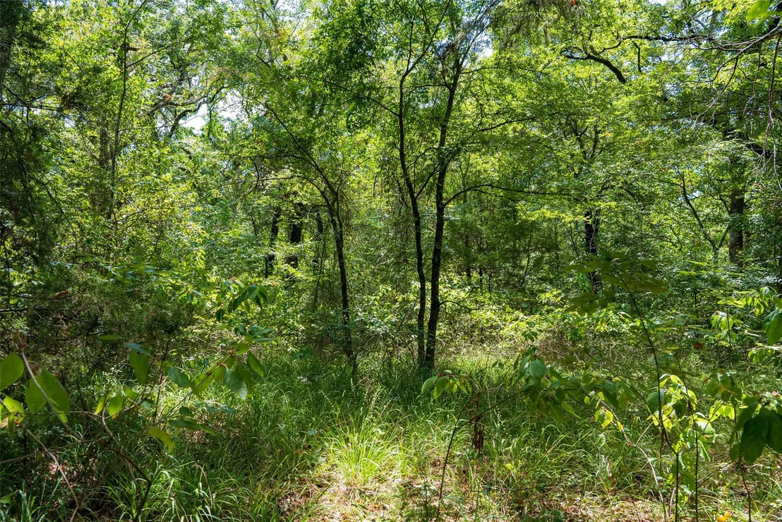 Photo of 11748 River Ranch Road