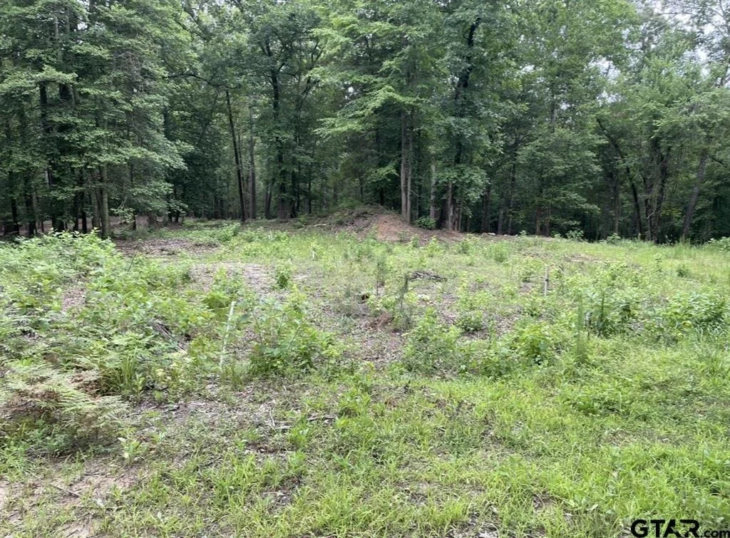 Photo of 1688 County Road 1597