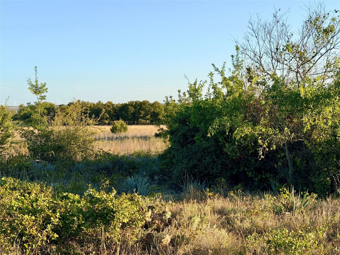 Photo of 37 Pr 224