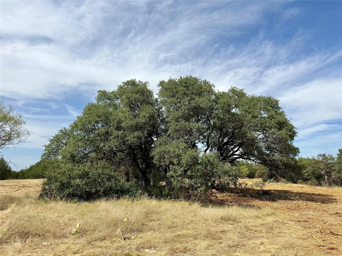 Photo of 3100 County Road 153