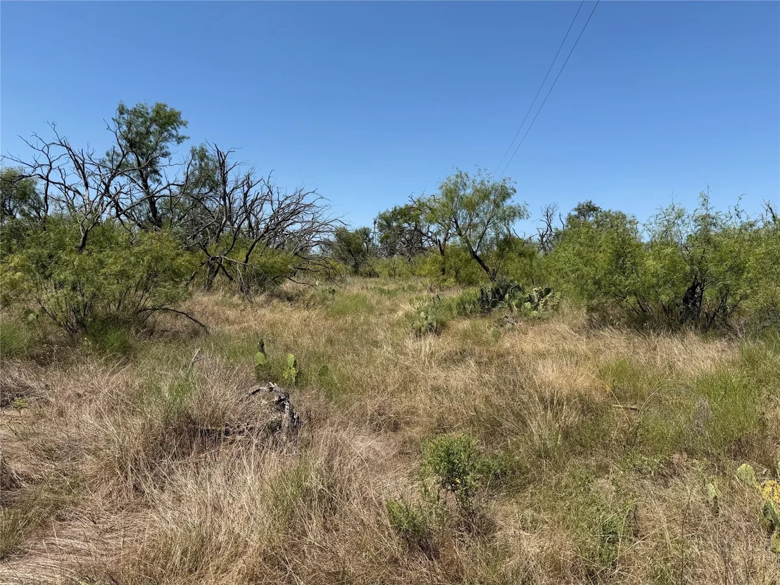 Photo of 501 County Road 376