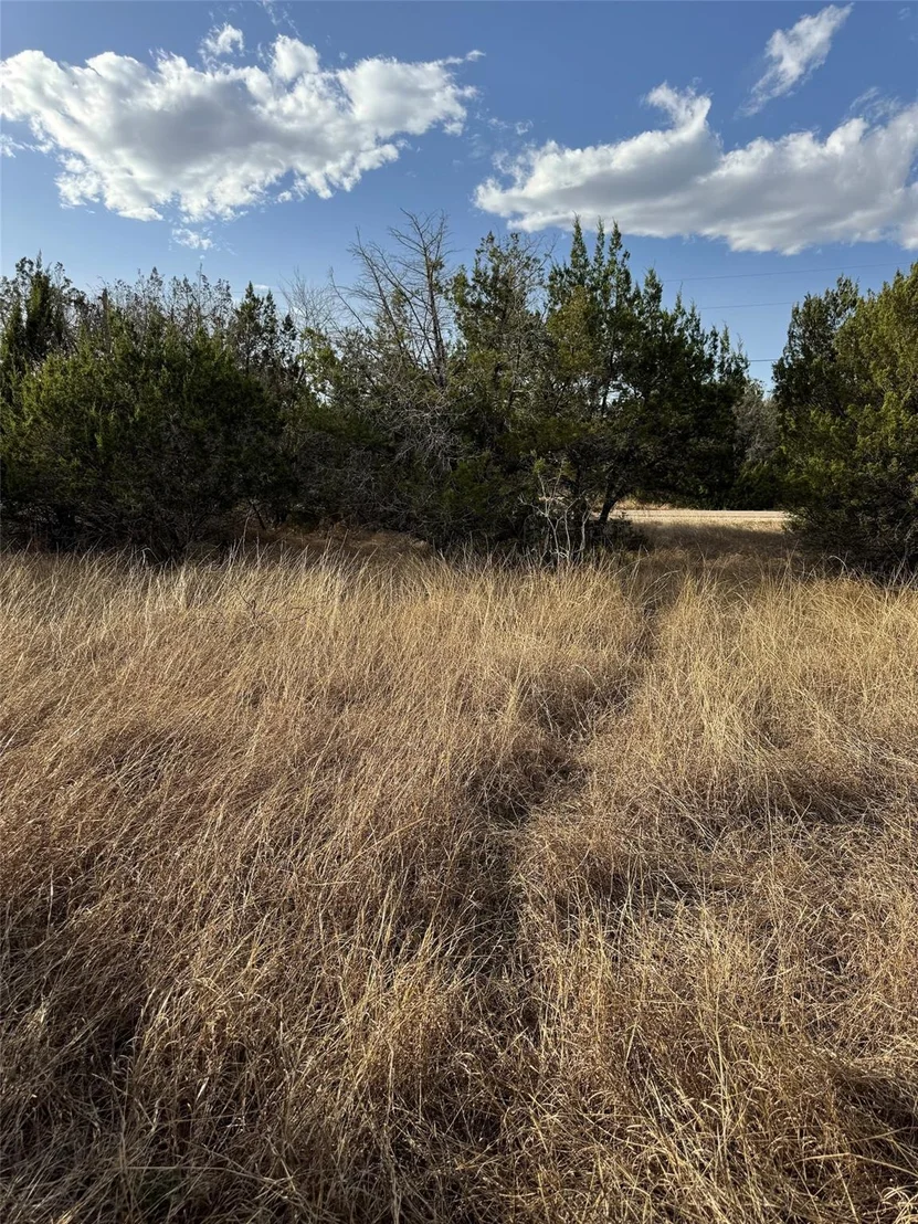 Photo of 32039 Dove Trail