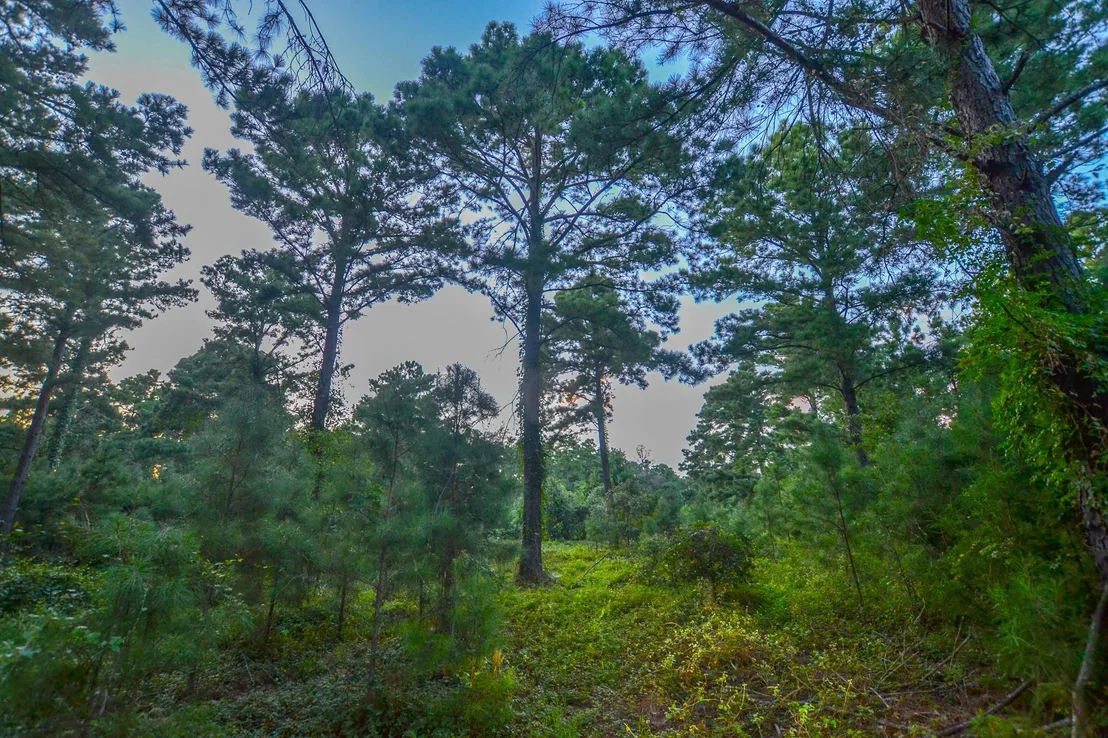 Photo of Tract 3 Hwy 155