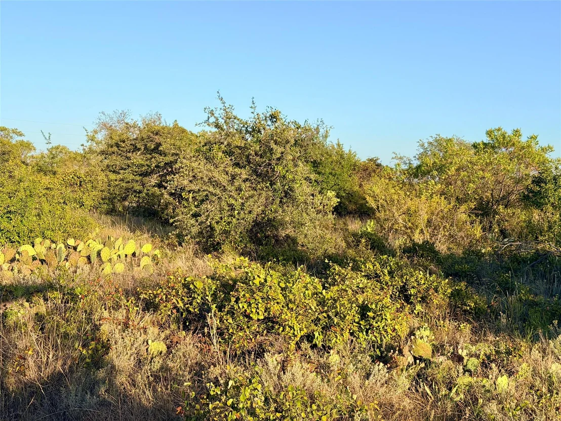 Photo of 37 Pr 224