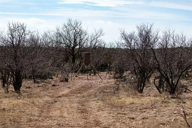 Photo of 577 County Road 364