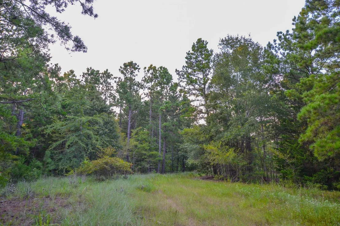 Photo of Tract 3 Hwy 155