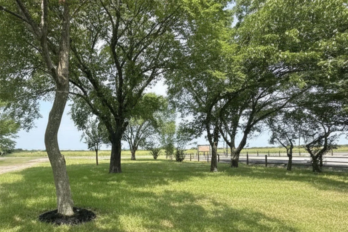Photo of 5772 N State Highway 78