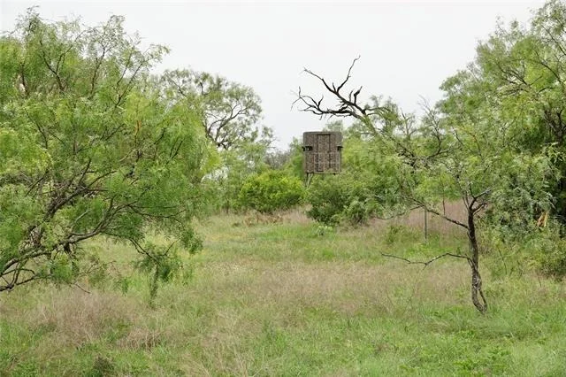 Photo of 180 CR 531