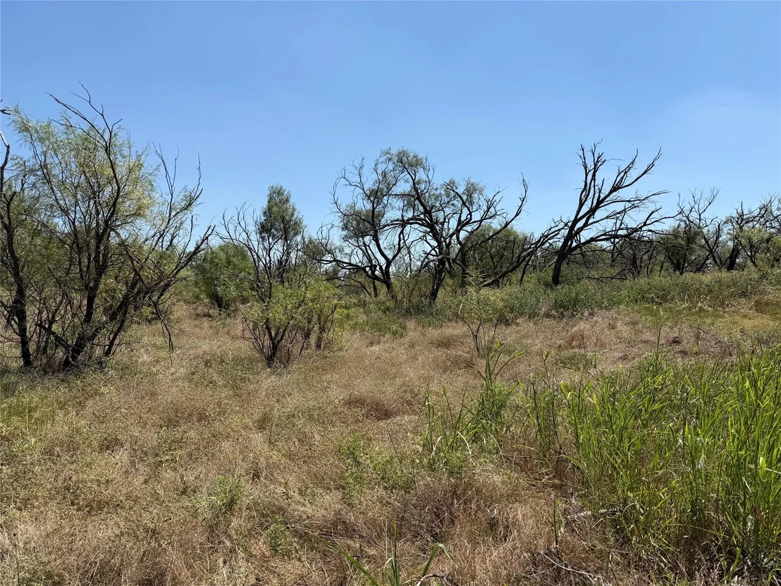 Photo of 501 County Road 376