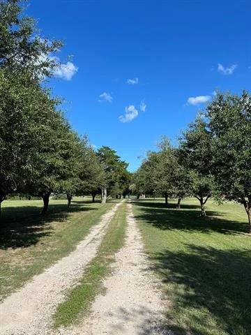 Photo of 6303 Greenvine Road