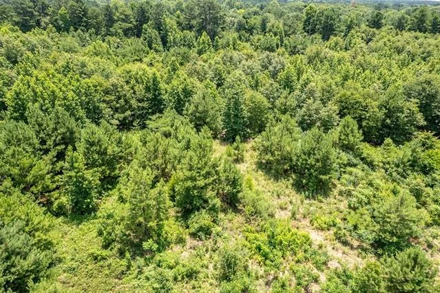 Photo of 15688 US Highway 271