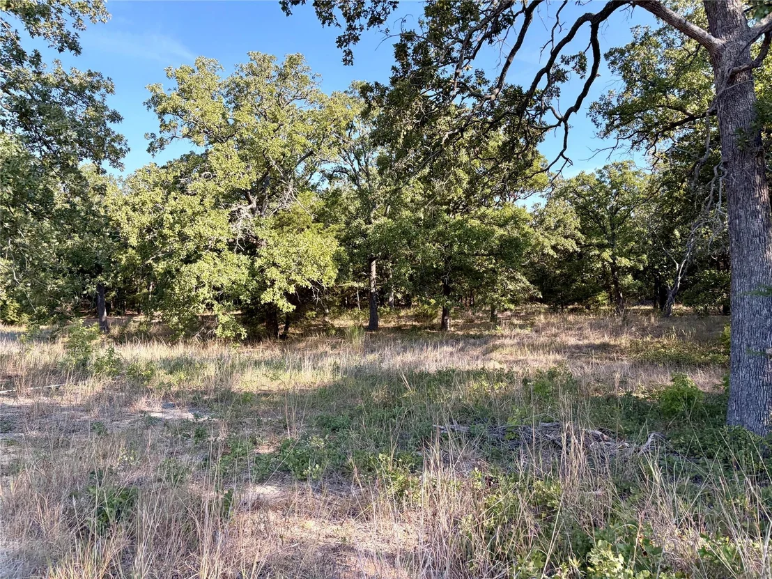 Photo of 10740 N Us-175