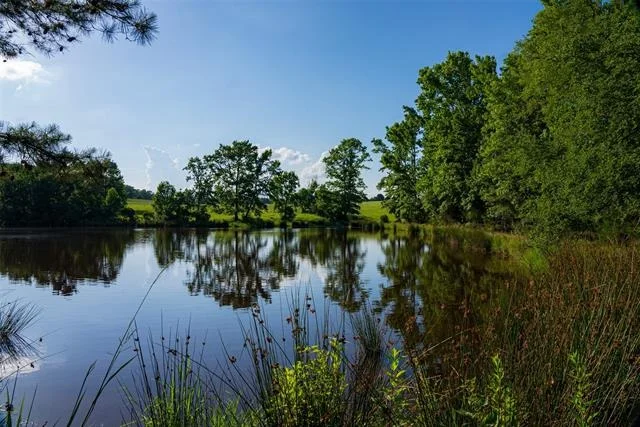 Photo of 2030 County Road 1640