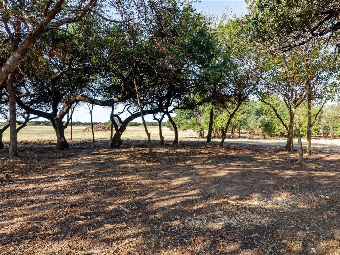 Photo of 2768 Live Oak Road