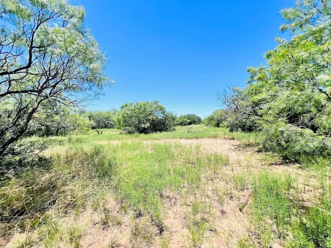 Photo of 1349 County Road 152