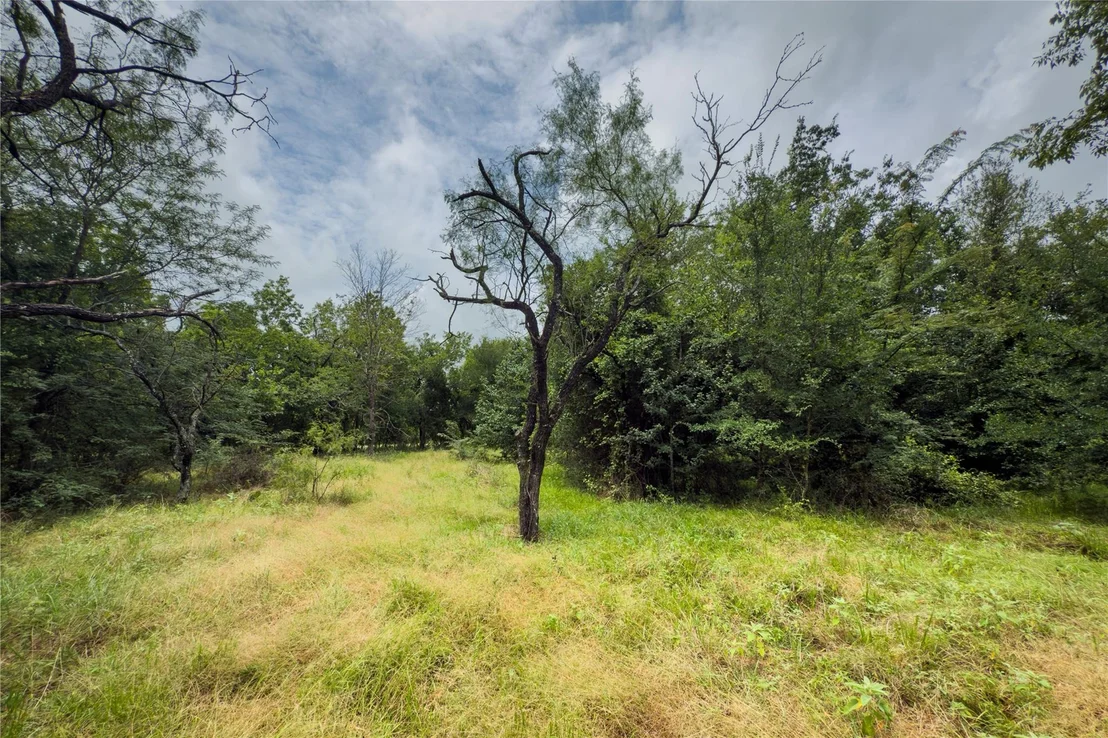 Photo of Lot 9 County Road 173