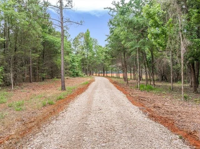 Photo of Unit TRACT1 at 16092 County Road 440
