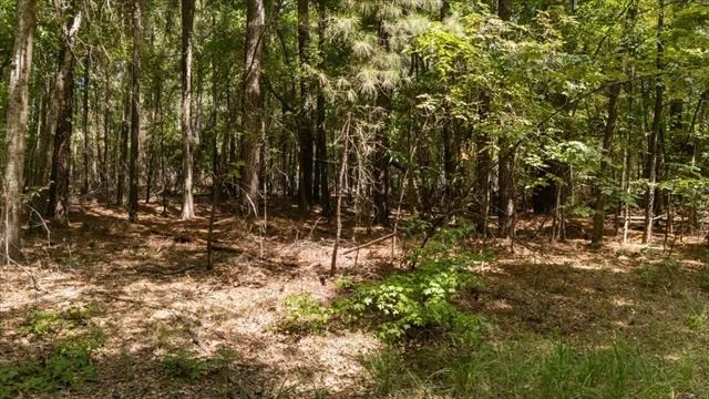 Photo of 21980 Barron Road