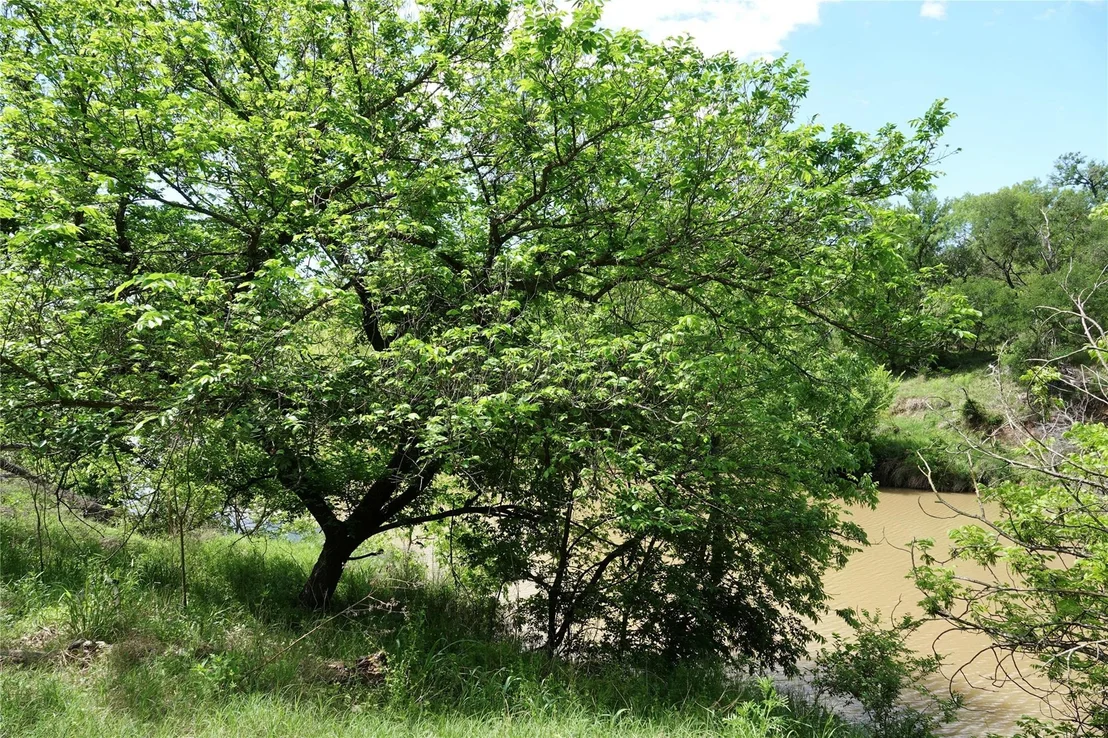 Photo of 588 County Road 430