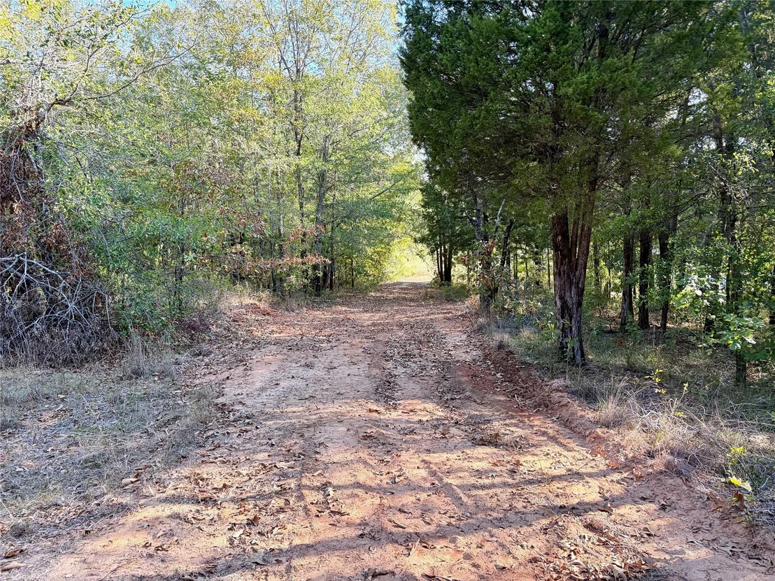 Photo of 10740 N Us-175