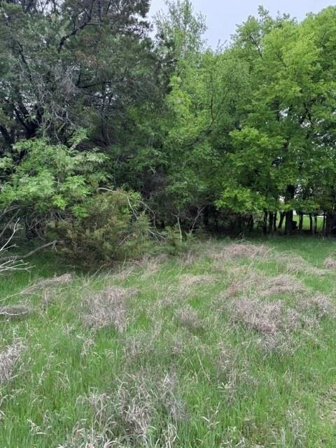 Photo of 17082 Faircrest Drive
