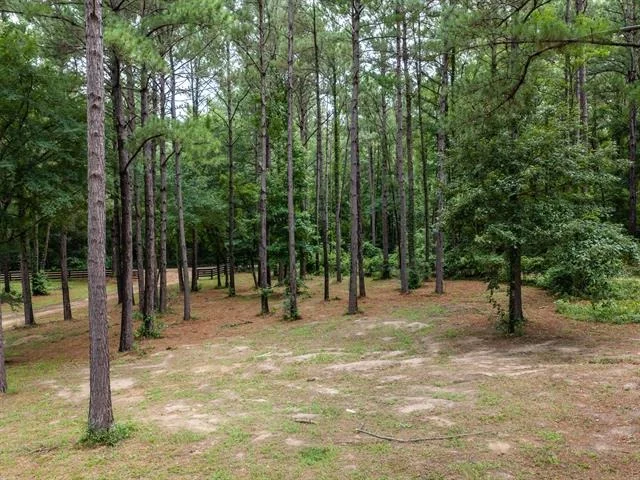Photo of 4240 County Road 2107