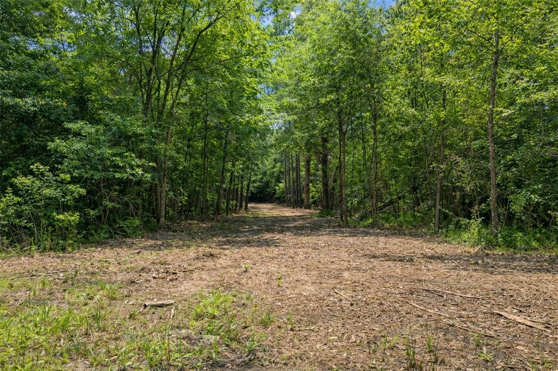 Photo of 4552 Van Highway