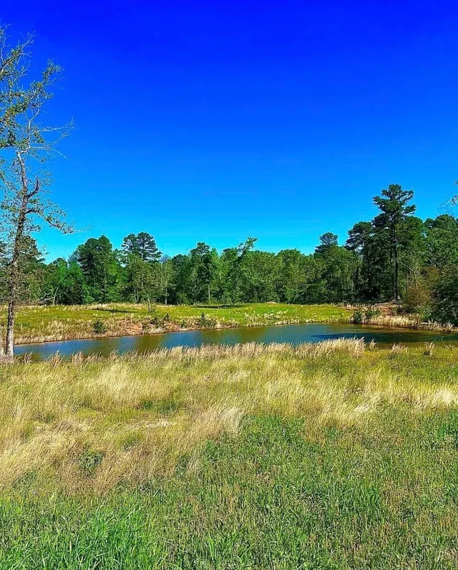 Photo of 868 County Road 2920