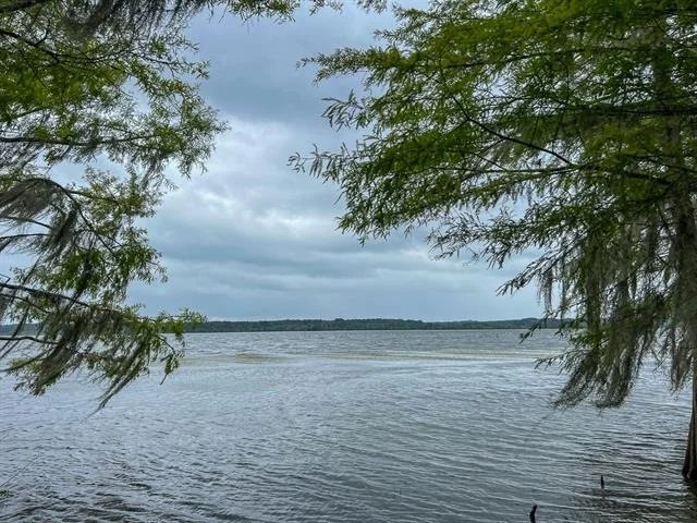 Photo of T-2 Arledge Trail/Off Gateway Meadows