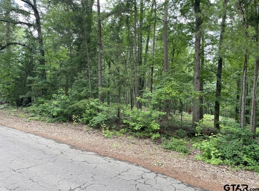 Photo of 1688 County Road 1597