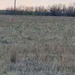Photo of 1105 CR 611