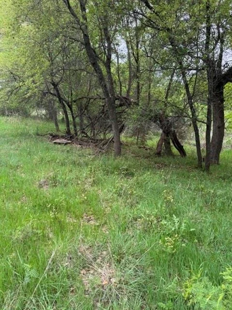 Photo of 17082 Faircrest Drive