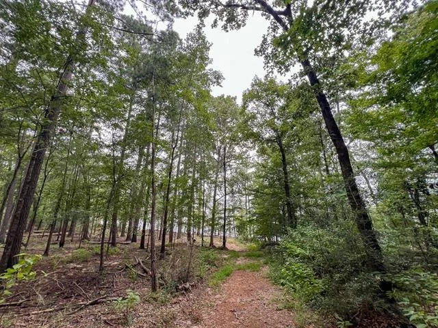 Photo of T-2 Arledge Trail/Off Gateway Meadows