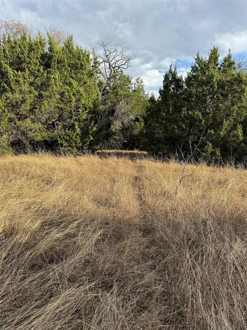 Photo of 32039 Dove Trail